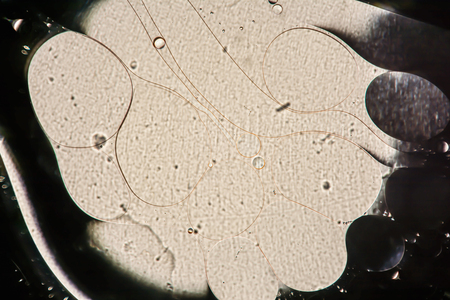 the interaction of water and oil, oil bubbles of various sizes on the water surface, gray and black...