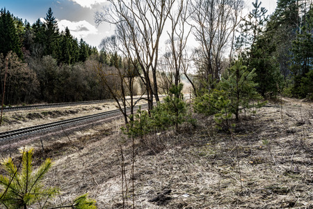 A multy-track railway in the forest turns the corner. Spring landscape with dry grass and a...