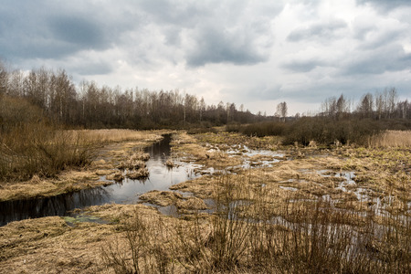 Landscape of marshland with a leaf bare tree silhouetted against a cloudy blue sky. Dead marsh...