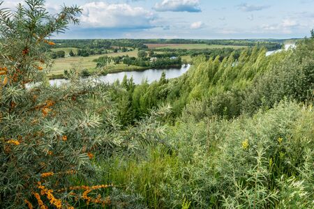 view of the blue river from the top through the trees and shrubs, cloudy summer day