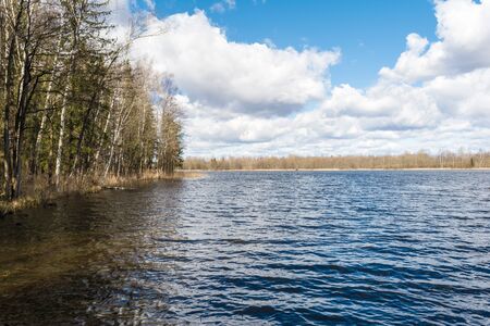 Forest lake shore with trees and bushes in sunny day. Forest lake trees view. Forest lake shore panorama. Bright spring day in Belarus, Vitebsk regionの写真素材