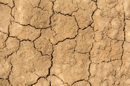 Dry cracked earth texture, close-up nature abstract background