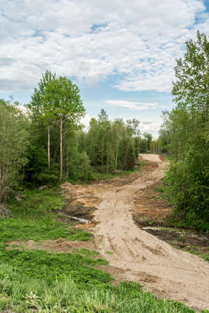 Empty sand dirt road through green forest landscape.