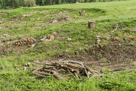 green field with a ravine and cut down trees and shrubs, clearing unnecessary vegetation, harvesting...