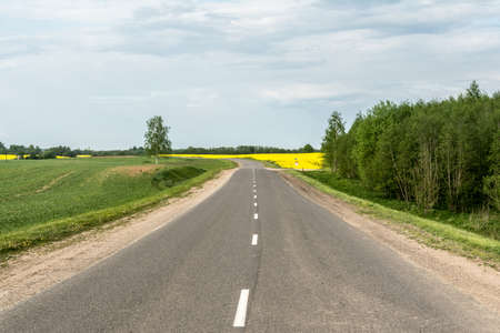 asphalt country road passes near a field with yellow rapeseed and green vegetation