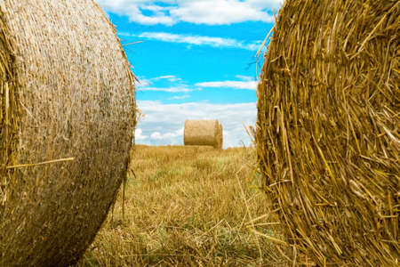 Close-up round bales of hay on farmland with blue cloudy sky. Nature summer backgroundの写真素材
