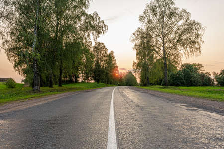 asphalt road in the countryside during sunset, there are big trees on the side of the road, nature backgroundの写真素材