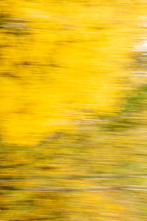 Abstract yellow green colors background of autumn leaves with zoom effect motion blur. Zoom speed blured motion.の写真素材