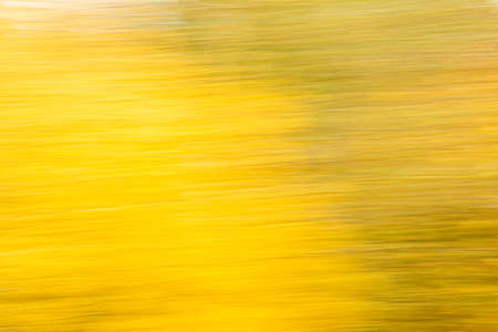 Abstract yellow green colors background of autumn leaves with zoom effect motion blur. Zoom speed blured motion.の写真素材