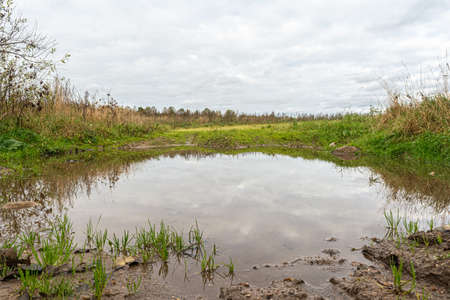 A large water puddle in the field. Cloudy autumn day. Nature abstract backgroundの写真素材