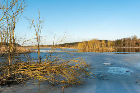 Spring melting of ice and snow on the river on a sunny evening. Trees and shrubs are flooded areas. Landscape of spring nature on the river floodの写真素材