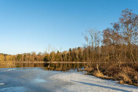 Spring melting of ice and snow on the river on a sunny evening. Trees and shrubs are flooded areas. Landscape of spring nature on the river floodの写真素材