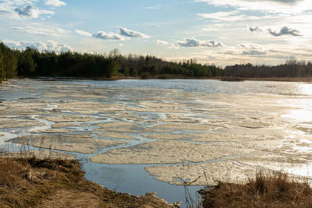 Cracked ice melts under the sun on a forest lake. Spring landscape with forest pond during sunset