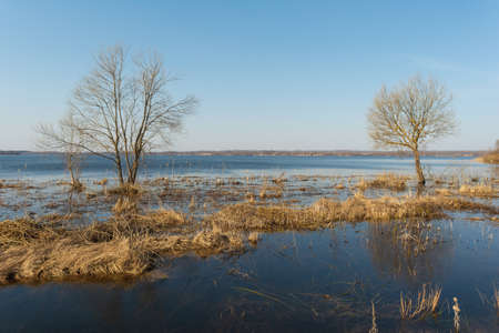 Spring flood blue lake. Trees still without leaves grow in a meadow flooded with water. Beautiful landscape with blue sky and water on a spring day. Nature backgroundの写真素材
