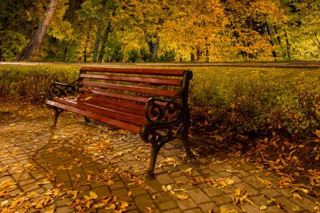 Bench in the park during the autumn season at night. Night scene in city park with yellow orange leaves and warm lightの写真素材