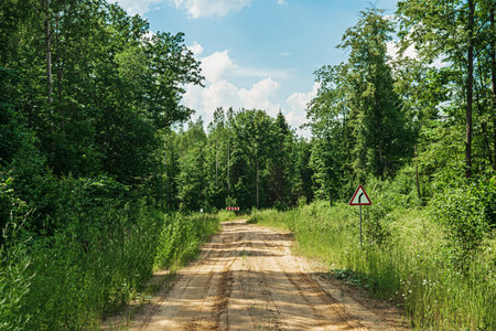 Sandy road with a dangerous turn to the right in a green forest. The side of the country road is...