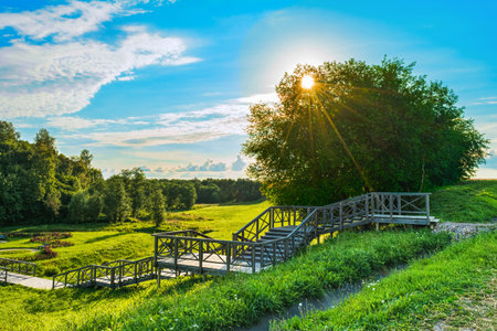 View of the multi-level wooden gangway in a picturesque place with a field and a forest. Summer evening before sundown. Nature landscape backgroundの写真素材