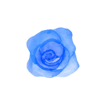 Blue watercolor rose on a white background. Vector illustration for your designのイラスト素材