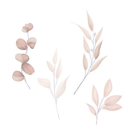 Eucalyptus branches set. Eucalyptus branches with leaves. Vector illustrationのイラスト素材