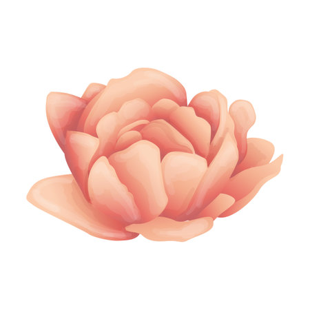 Peony flower icon. Realistic illustration of peony flower icon for web designのイラスト素材