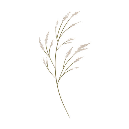 silhouette of grass plant isolated icon vector illustration designicon vector illustration designのイラスト素材