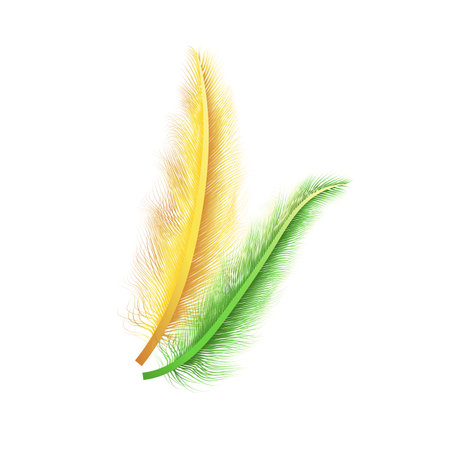 Two green and yellow feathers isolated on white background. Vector illustration.のイラスト素材