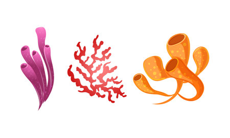 Set of coral reef icons. Vector illustration isolated on white background.のイラスト素材