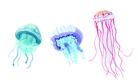 Jellyfish set. Colorful jellyfish isolated on white background. Vector illustration.のイラスト素材