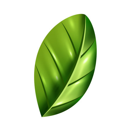 Green leaf icon. Realistic illustration of green leaf icon for web designのイラスト素材
