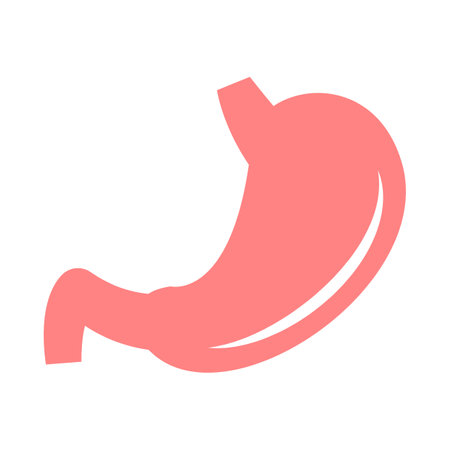 Stomach flat icon isolated on white background. Digestive system signのイラスト素材