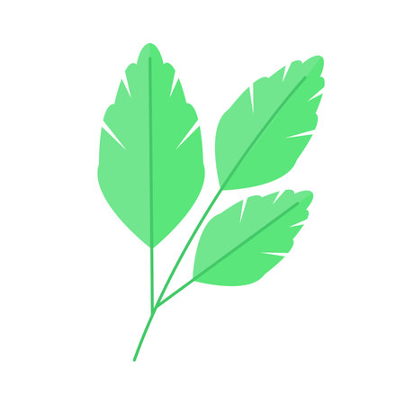 Green leaf icon. Flat vector related icon for web and mobile applicationsのイラスト素材