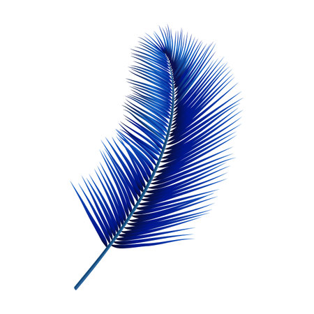 Beautiful blue palm leaf isolated on white background. Vector illustration.のイラスト素材