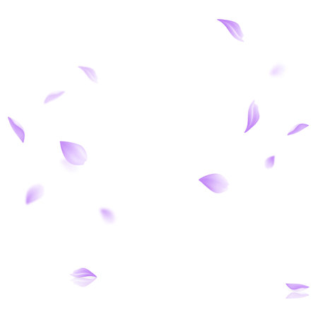 Purple flower petals fly down. Isolated white background. Vector illustrationのイラスト素材