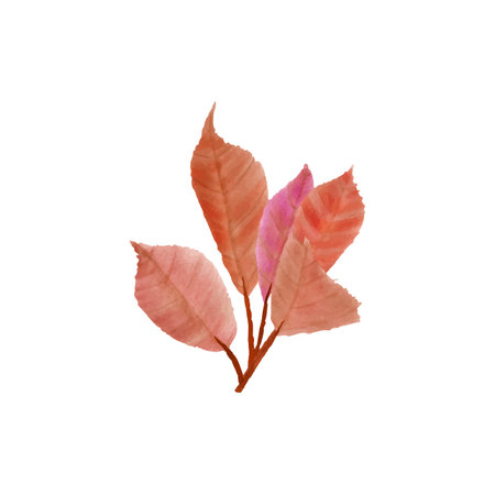 Autumn leaves isolated on white background. Watercolor illustration. EPS 10のイラスト素材