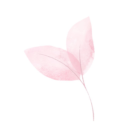 Watercolor pink leaf isolated on white background. Hand drawn illustration.のイラスト素材