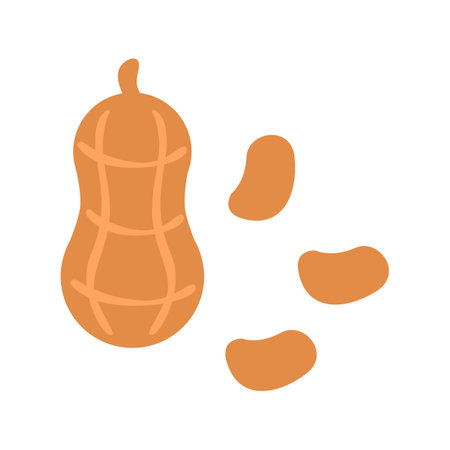 Peanut icon vector isolated on white background for your web and mobile app design, Peanut logo conceptのイラスト素材