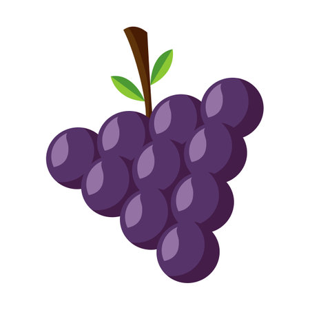 grapes fresh fruit icon vector illustration design vector illustration graphic designのイラスト素材