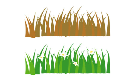 Grass and flowers. Vector illustration isolated on a white background.のイラスト素材