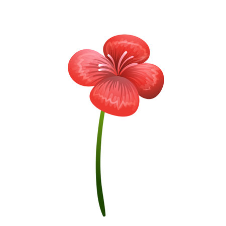 Red geranium flower isolated on white background. Vector illustration in cartoon style.のイラスト素材