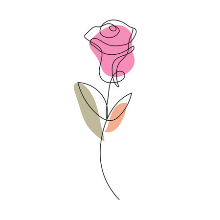 Hand drawn rose flower. Continuous line drawing. Vector illustration isolated on white background.のイラスト素材