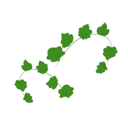 Green leaves icon vector isolated on white background for your web and mobile app design, Green leaves logo conceptのイラスト素材