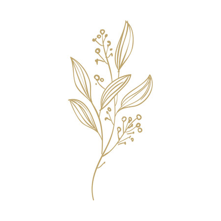 Elegant hand drawn decorative floral element, design element. Can be used for wedding, baby shower, mothers day, valentines day, birthday cards, invitations, scrapbooking.のイラスト素材
