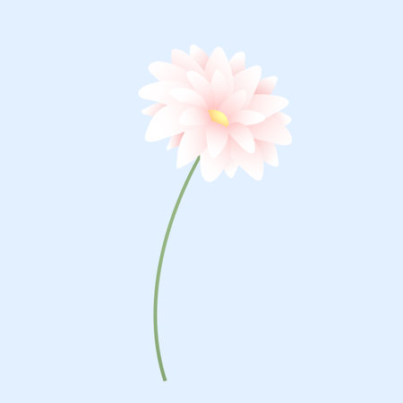 Beautiful pink daisy flower on blue background. Vector illustration.のイラスト素材