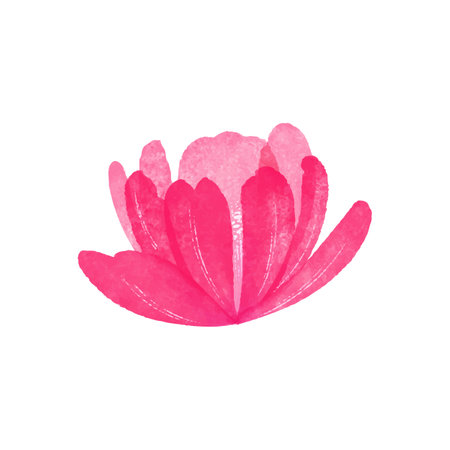Watercolor pink lotus flower on white background. Vector illustration.のイラスト素材