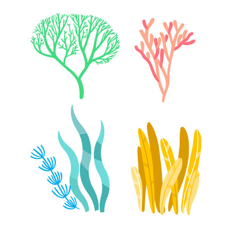 Set of seaweed isolated on a white background. Vector illustration.のイラスト素材