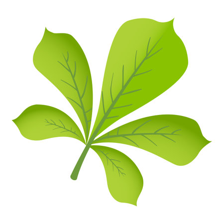 Chestnut leaf icon. Cartoon of chestnut leaf icon for web design isolated on white backgroundのイラスト素材