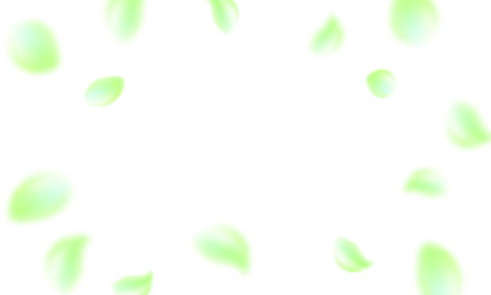 Green leaves falling on white background with copy space. Vector illustration.のイラスト素材