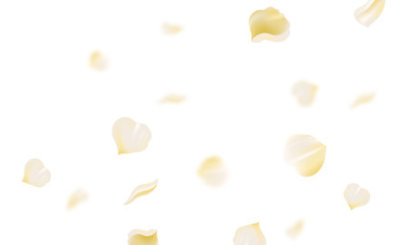 White rose petals fly in the air. Isolated white backgroundのイラスト素材