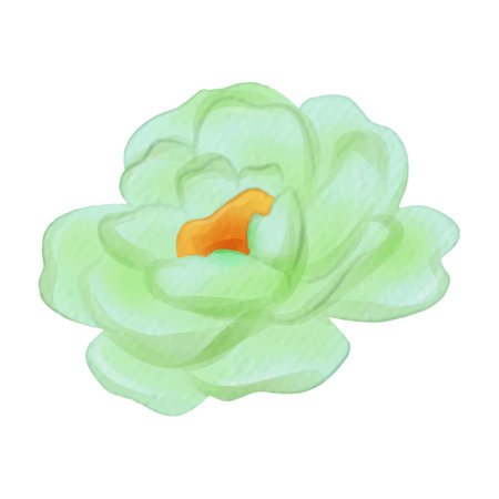Watercolor green flower on white background. Hand drawn vector illustration.のイラスト素材