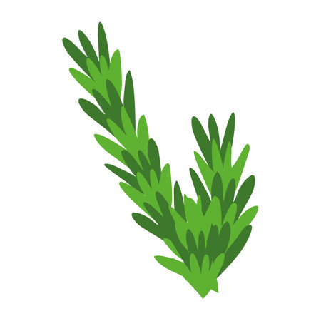 Rosemary icon in isometric 3d style on a white backgroundのイラスト素材